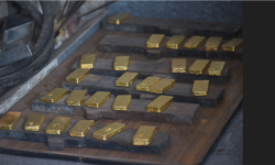 चौध किलो सुन प्रकरणमा अहिलेसम्म पाँच पक्राउ