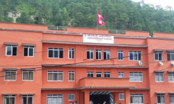 कोदो र फापर फलाउने किसानलाई अनुदान