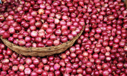 भारतको प्रतिबन्धपछि चीनबाट आउन थाल्यो प्याज