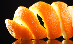 सुन्तलाको बोक्राबाट बन्‍नेछ पेट्रोल !