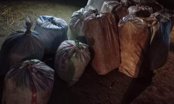 ३८० किलो गाँजासहित २ जना पक्राउ