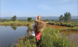 वन्यजन्तु पीडितलाई माछाको सहारा