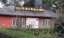 पशुपति क्षेत्र विकास कोषका १०० भन्दा धेरै सल्लाहकार खारेज