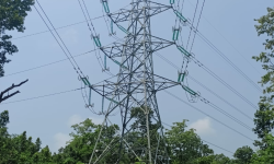 कालीकोटमा नौ स्थानीय तहमध्ये आठमा बिजुली