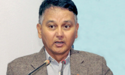 वरिष्ठ अधिवक्ता भण्डारीविरुद्ध घरेलु हिंसाको मुद्दा