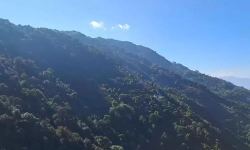 राज्यको नजरमा नपरेको भरङ्गे