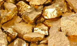 न्युरोडबाट बरामद गरिएको सुन जोख्ने कार्य सुरु