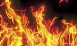 विराटनगरको कवाडी गोदाममा आगलागी, एक जनाको मृत्यु