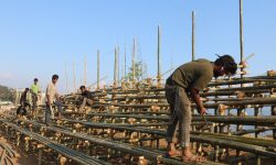 Temporary parapet for maiden Ilam Gold Cup