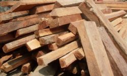 काष्ठ व्यवसाय धराशायी बन्दै गएको व्यवसायीको गुनासो