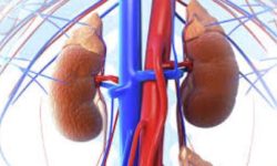 हेटौँडा अस्पतालद्वारा मिर्गौला रोगीलाई नियमित डायलाइसिस सेवा