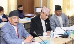 एनसेलको शेयर खरिद–बिक्री प्रक्रिया सहज र स्वाभाविक नलागेरै समिति गठन गरिएको हो : प्रधानमन्त्री