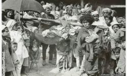 सात साल अघिको बिहे