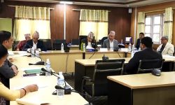 संसदीय समितिमा आज न्यायाधीशद्वय पौडेल र ढुङ्गानाको सुनुवाइ हुने