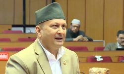 कानुन निर्माणमा सदन होइन, सरकार असफल : सांसद रायमाझी