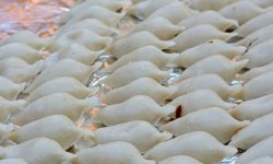 नेवार समुदाय आज यःमरी पुन्हि मनाउँदै