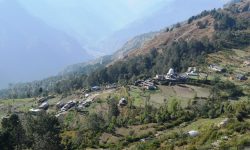 घरेलु मदिरा उत्पादन नहुँने ‘गाजने’ गाउँ