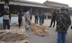 श्रमिक र उद्योगको समस्या बुझ्न सांसद भगबती चौधरी औद्योगिक क्षेत्रमा