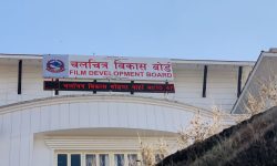 चलचित्रसम्बन्धी अध्ययनका लागि छात्रवृत्ति