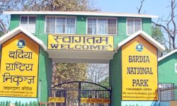 बर्दिया निकुञ्जको गोदामबाट बाघका २५ वटा दाह्रा र गैंडाको खाग गायब