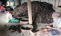 अलैँचीको भाउ तेब्बर बढ्यो