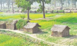 भूमिहीन सुकुम्बासीलाई जग्गा वितरण गरिने