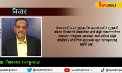 आर्थिक सबलीकरणका लागि आकस्मिक योजना