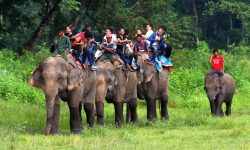 सौराहामा बढे चिनियाँ र भारतीय पर्यटक