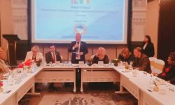 नेपाल र आयरल्याण्डका सांसदबीच शैक्षिक सहकार्यबारे छलफल