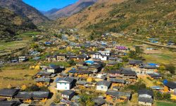 फेरियो निसी गाउँको स्वरुप