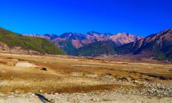 सुनसान ढोरपाटन, होटल व्यवसाय ठप्प