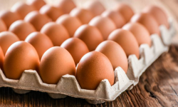 अन्डाको भाउ प्रतिगोटा २० रुपैयाँ पुग्यो