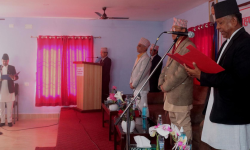 कोशी प्रदेशको मुख्य न्यायाधिवक्तामा कोइराला नियुक्त