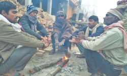 चिसोले महोत्तरीका दलित बस्तीमा विचल्ली