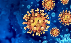 सुदुरपश्चिममा तीन दिनमा नौ व्यक्तिमा कोरोना सङ्क्रमण