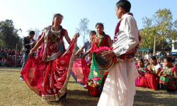 थारु गाउँमा माघीको चहलपहल सुरु