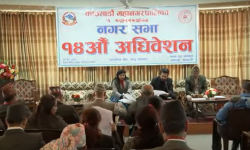 करको दायरामा नआएका युवा उद्यमीलाई ४० प्रतिशत छुट दिने काठमाडौं महानगरको प्रस्ताव