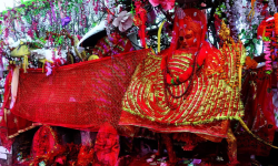 पाथीभरामा एक महिनाको भेटी ३५ लाख