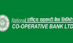 कर्जा नतिरेपछि तुलसी बहुमुखी सहकारीको धितो लिलाम गर्दै सहकारी बैंक