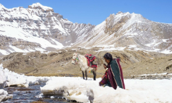 आठ वर्षमा बनेको ‘शाम्बाला’ पुग्यो बर्लिन महोत्सवमा