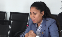 सन्धि सम्झौताको कपी नष्ट गर्नेलाई राज्यद्रोहको मुद्दा लगाउने प्रस्ताव