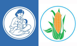 सुशासन पार्टीमा गाभियो नेपाल आमा पार्टी