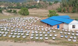 दुई दशकदेखि मौरीपालनमा रमाएका दीपकुमार