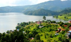 माछा खान माझीकुना