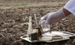 कृषिबाली सुधार्न माटो परीक्षण