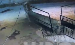 जब इजराइली सेनाले लडाकूको शरीरमाथि गाडी चलाए…….