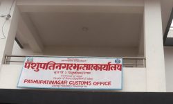 पशुपतिनगर भन्सारमा राजस्व सङ्कलनमा वृद्धि
