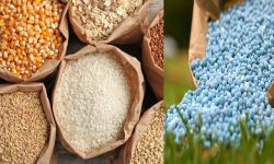 रुसले अफ्रिकालाई अनाज र मल आपूर्ति जारी राख्ने : उपप्रधानमन्त्री