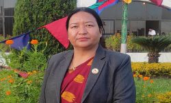 शान्ति प्रक्रिया र संविधान कार्यान्वयनसँग सम्बन्धित कानुन प्राथमिकतामा हुनुपर्छ : सांसद तामाङ