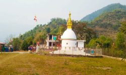 पर्यटक आकर्षण गर्न उदय रिघा बुद्ध विहारलाई व्यवस्थित बनाइँदै